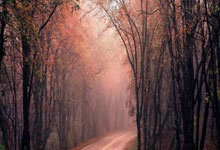 30岁B席达成葡萄牙队100场里程碑：13球28助攻+2019年欧国联冠军.