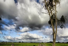 亚博体育：令人唏嘘！赛季初的争冠大热，如今已无缘附加赛.