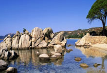 曝新疆队交易阿不都沙拉木！一年前还是CBA得分王，令人唏嘘.